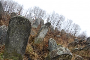 The remains of a Jewish cemetery dating to the 16th century in the Ukrainian village of Solotyvn.  (Dina Kraft)